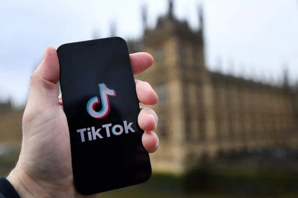 The world’s most populous country adapts to TikTok ban
